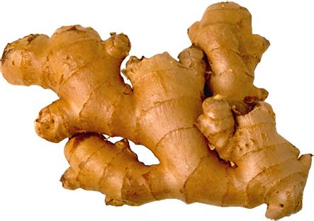 Ginger Vegetable Resources
