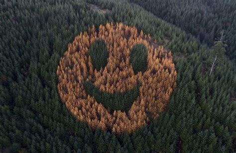 The Hills Look Alive With A Giant Smiley Face