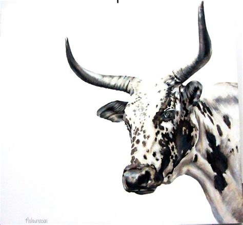 Nguni Cattle Posters