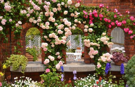 Beautiful Rose Garden Wallpapers Wallpaper Cave