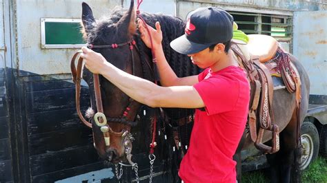 Como Poner El Freno A Un Caballo Youtube