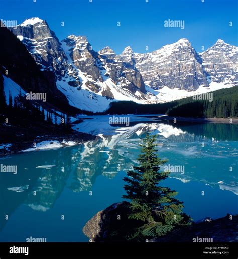 Rocky Mountains And Moraine Lake Alberta Canada Photo By Willy Stock