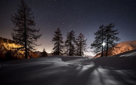 Wallpaper Night Winter Snow Mountains Trees Stars Nature