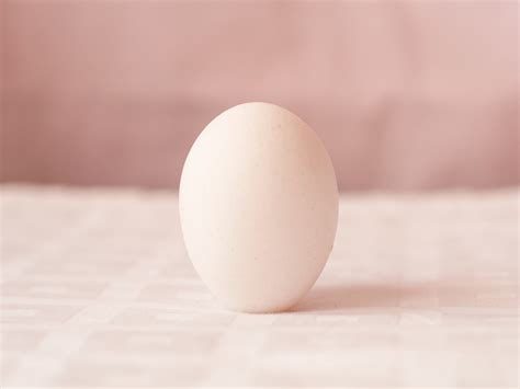 Ways To Balance An Egg Wikihow