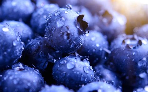 Blueberries Hd Wallpapers Hd Wallpapers Id 22914