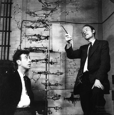 Medienarchiv Der Künste Watson Crick Und Das Dna Modell Von 1953