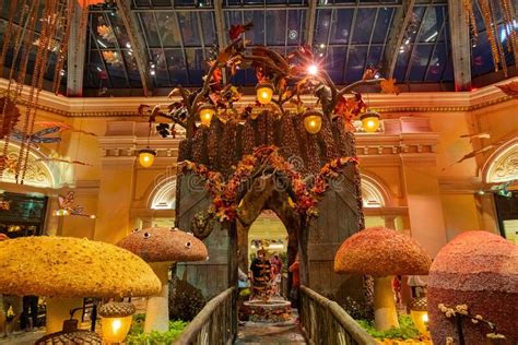 Autumn Theme Of The Famous Bellagio Conservatory And Botanical Gardens