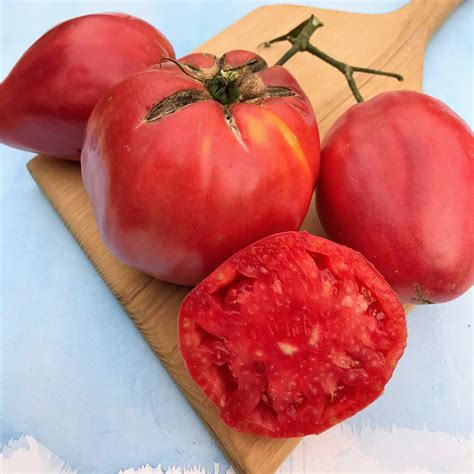 Upstate Oxheart Tomato Organic Seeds Hudson Valley Seed Company