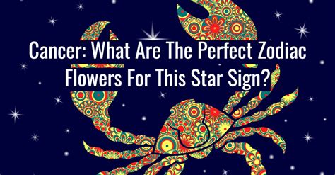 Cancer What Are The Perfect Zodiac Flowers For This Sign