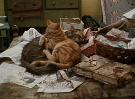 Watch grey gardens online free where to watch grey gardens grey gardens movie free online Grey Gardens (1975) | Cinema Cats