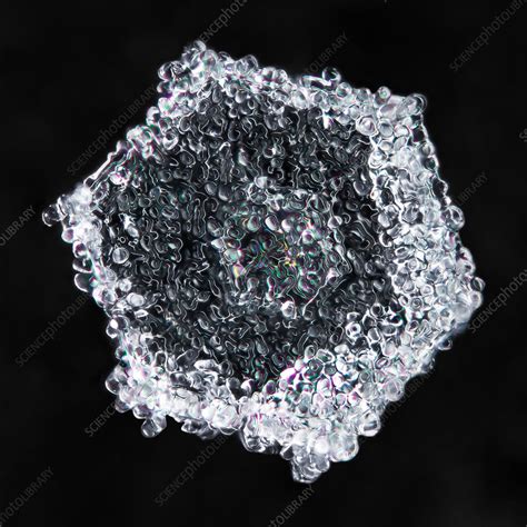 Melting Snowflake Stock Image C0285881 Science Photo Library