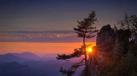 Обои закат восход солнца природа дерево утро Full Hd Hdtv 1080p