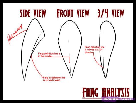 How To Draw Vampire Fangs And Teeth Step By Step Vampires Lips