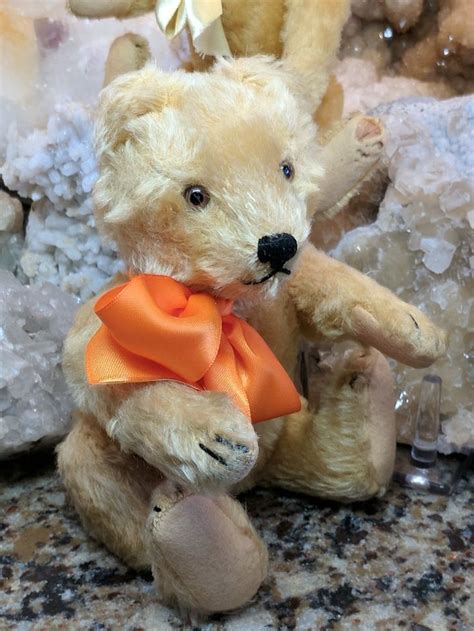 1950s Vintage Gold Steiff Original Teddy Bears Teddy Bear Antique