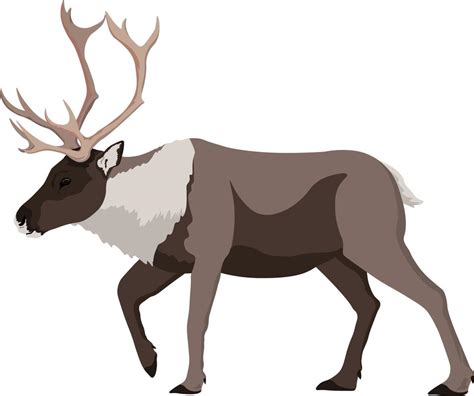 Caribou Reindeer Walking Illustration 6683740 Vector Art At Vecteezy