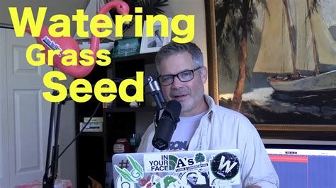 Lawn watering is done as a matter of personal preference most of the time. How to WATER GRASS SEED | Step by Step Watering Guide for Grass Seed - YouTube
