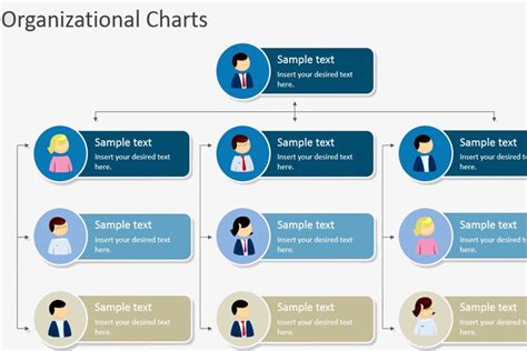 How to create an organizational chart for your small, types of organization chart biology, different types of organizational structures and charts, defining an organization boundless business, organization charts types principles advantages and. Coalition Organizational Charts - NNEDV