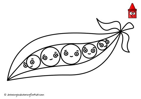 Drawing Vegetables Coloring Page Vegetables How To Draw Peas In A Pod Vegetable Coloring