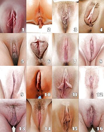 See And Save As Whats Your Favorite Type Of Pussy Porn Pict 4crot