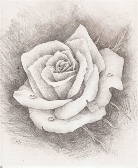 730x1094 3d pencil sketch of hand holding rose best drawings in pencil. Pencil Drawing Flowers Step Step at GetDrawings | Free ...