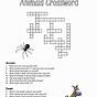 Insect Crossword Puzzle