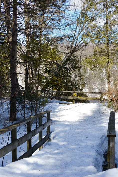 Footbridge In Winter Free Stock Photo Public Domain Pictures