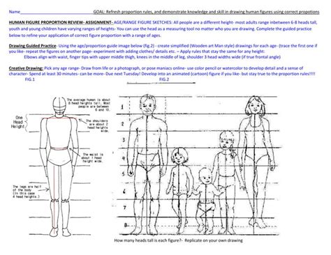 Pin By Magnaessence On Learning Drawing Anatomy Basic Human Body