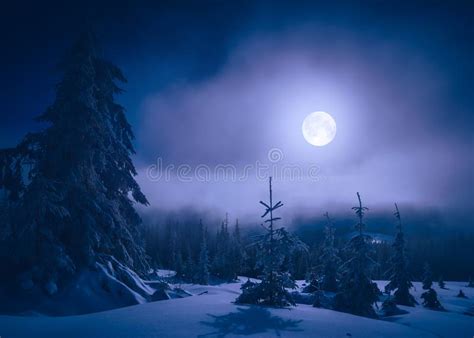 Bright Moonlight In A Mountain Valley Stock Image Image Of Snow