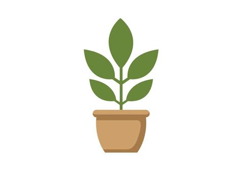 Potted Plant Flat Vector Plant Vector Plant Icon Plant Illustration