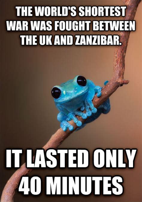 Image 679225 Small Fact Frog Know Your Meme