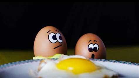 Free Download Funny Eggs Best Wallpaper 43502 Baltana 1920x1080 For