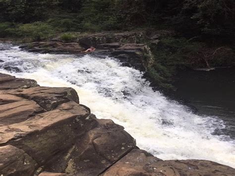 There are now no new active cases in the region. Gardners Falls - Adventure Sunshine Coast