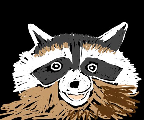 Chonky Raccoon Drawception