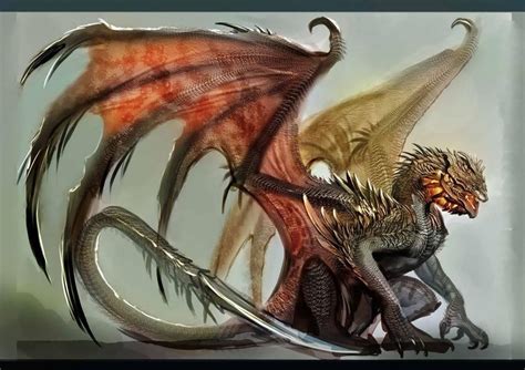 Western Dragons Dragon Artwork Dragon Art Types Of Dragons