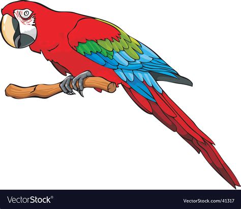 Parrot Vector Graphics Eps Vector Graphic Clipart Me