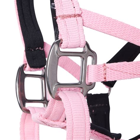 Dog Head Collar Pink Without Chain Big Dog Styles