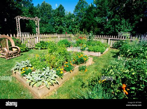 Vegetable Garden Enclosed By Picket Fence With Arbor And Organized