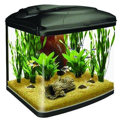 Interpet Fish Pod Glass Aquarium Fish Tank L Amazon Co Uk Pet