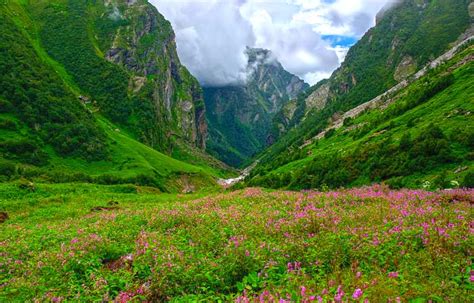 Valley Of Flowers National Park Trekking 2020 Travel India