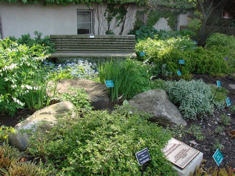 Mary Ann Arthur Shade Garden Chadwick Arboretum And Learning Gardens