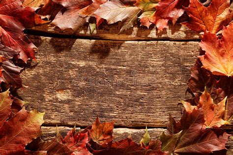 Rustic Border Of Colorful Autumn Leaves Stock Photo Image Of