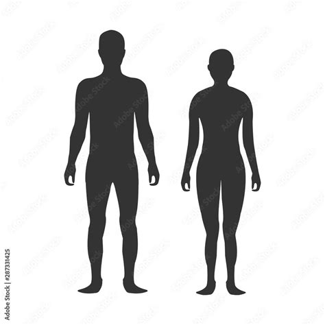 Male And Female Body Silhouette Template Body Silhouettes Icon For
