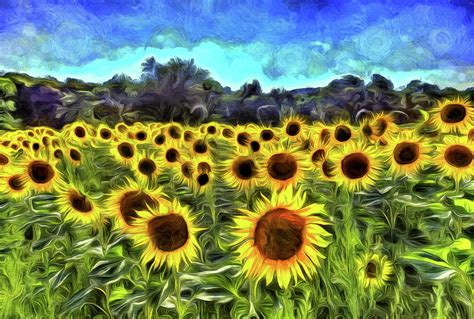 Sunflowers Van Gogh Photograph By David Pyatt Pixels
