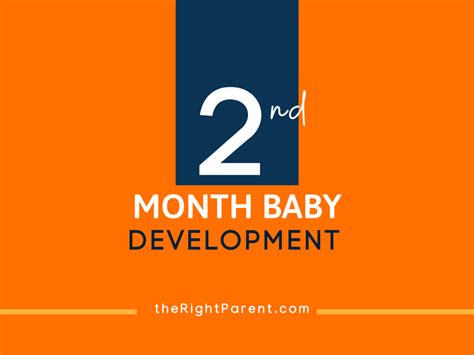 Infant Development 2 Month Old Baby Care And Tips