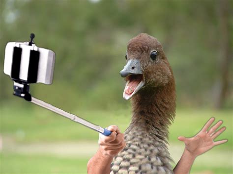 duck face selfie