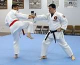 Images of Karate Fighting Styles