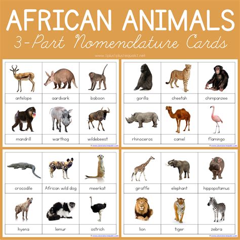 African Animals Montessori Printables Free 3 Part Cards Laptrinhx