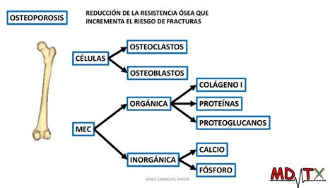 OSTEOPOROSIS FISIOPATOLOGÍA Y TRATAMIENTO Jorge MDTXpe uDocz