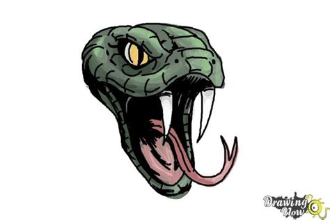 Snake Face Drawing