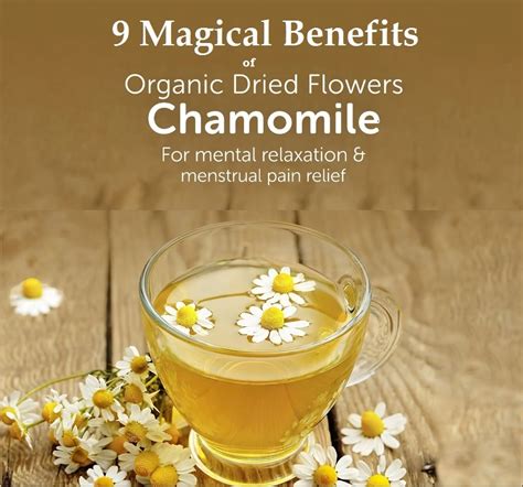 Magical Benefits Of Chamomile Tea History Nutritional Value Side